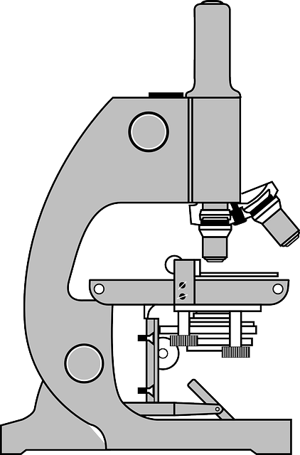 Cara Gambar Mikroskop - KibrisPDR