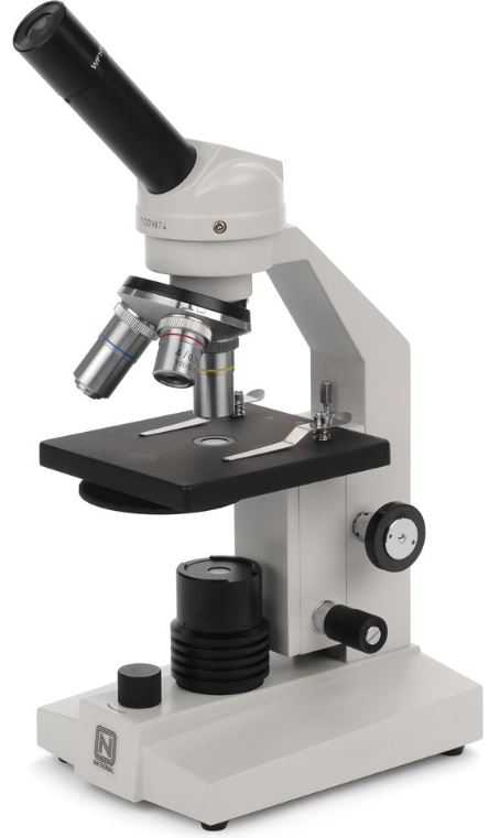 Detail Cara Gambar Mikroskop Nomer 22