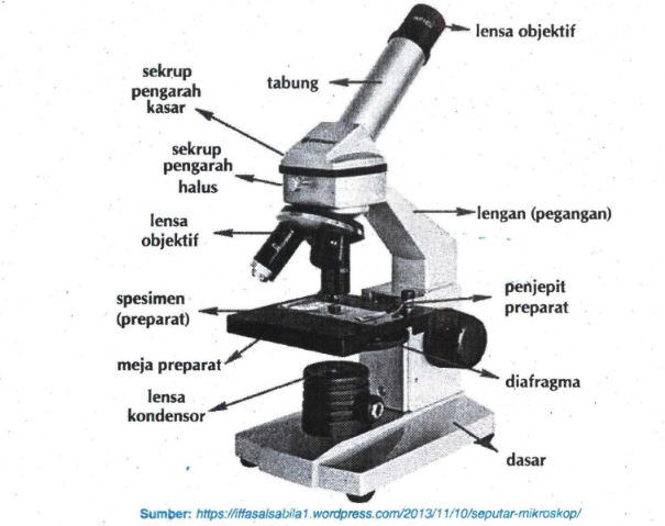 Detail Cara Gambar Mikroskop Nomer 23