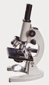 Detail Cara Gambar Mikroskop Nomer 31