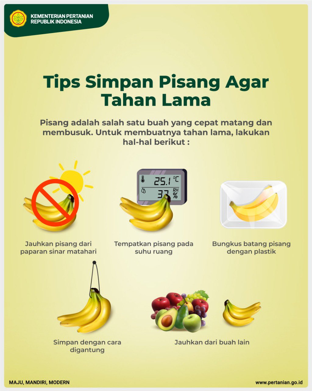 Detail Cara Gambar Pisang Nomer 46