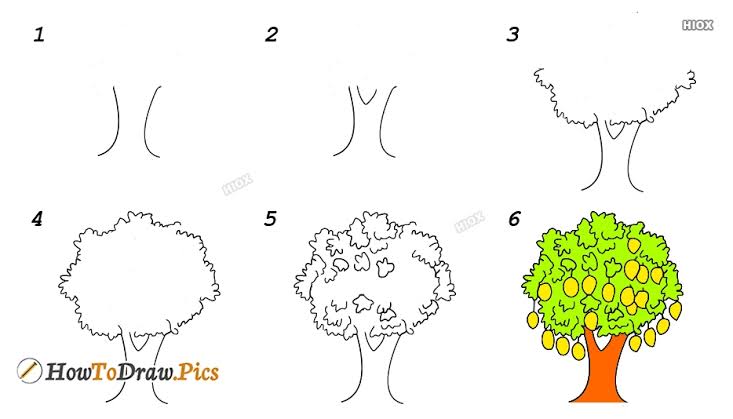 Detail Cara Gambar Pohon Nomer 17