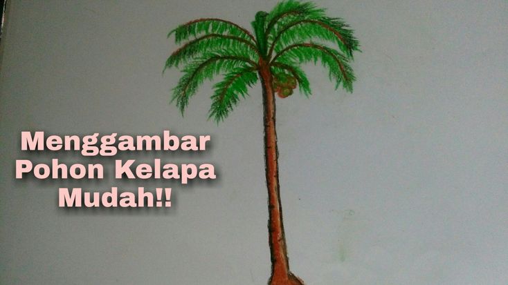 Detail Cara Gambar Pohon Kelapa Nomer 12