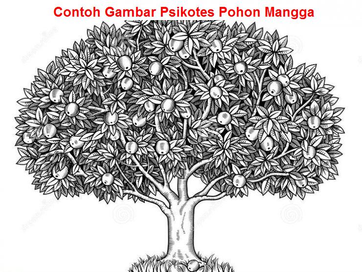 Detail Cara Gambar Pohon Mangga Nomer 20