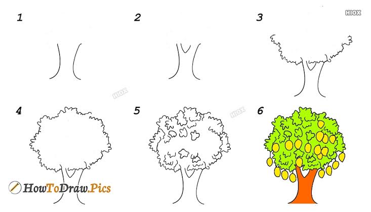 Detail Cara Gambar Pohon Mangga Nomer 7