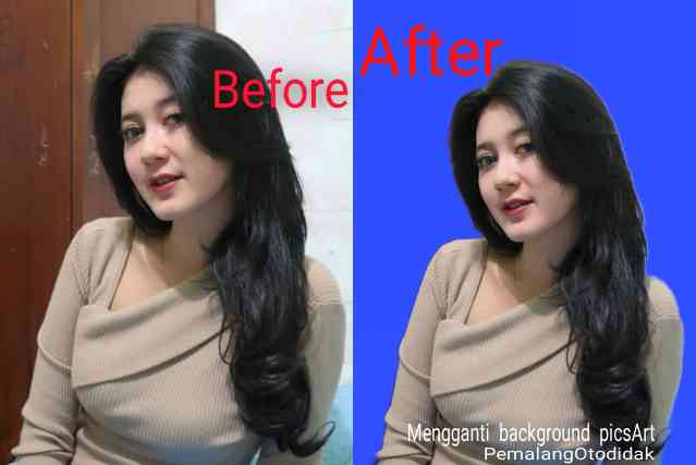 Detail Cara Ganti Background Foto Dengan Picsart Nomer 33