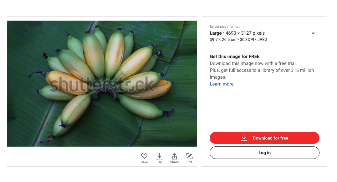 Detail Cara Jual Foto Di Shutterstock 2019 Nomer 47