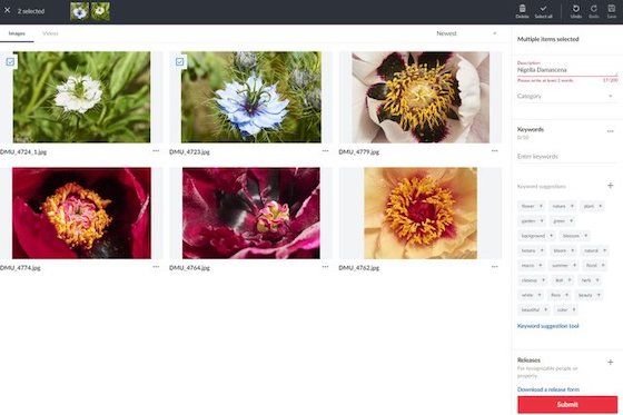 Detail Cara Jual Gambar Di Shutterstock Nomer 2