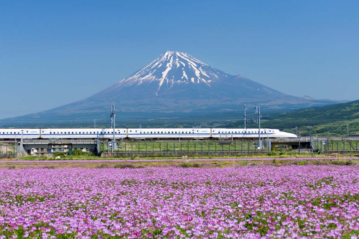 Detail Cara Ke Mt Fuji Dari Tokyo Nomer 33