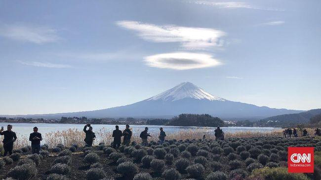 Detail Cara Ke Mt Fuji Dari Tokyo Nomer 37