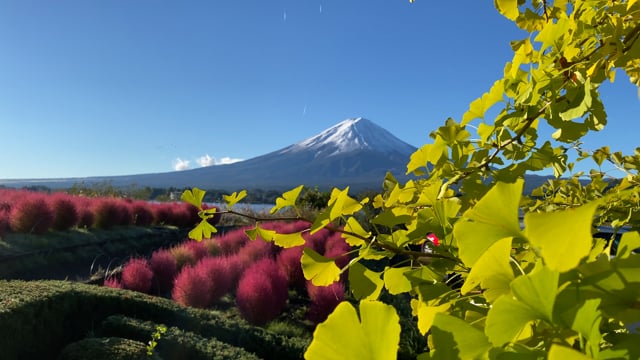 Detail Cara Ke Mt Fuji Dari Tokyo Nomer 48