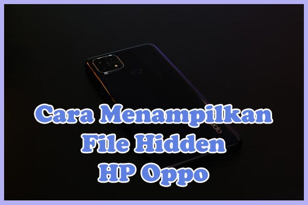 Detail Cara Melihat Foto Yang Disembunyikan Di Hp Oppo Nomer 33