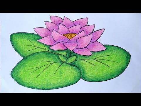 Detail Cara Melukis Bunga Teratai Dengan Mudah Nomer 15