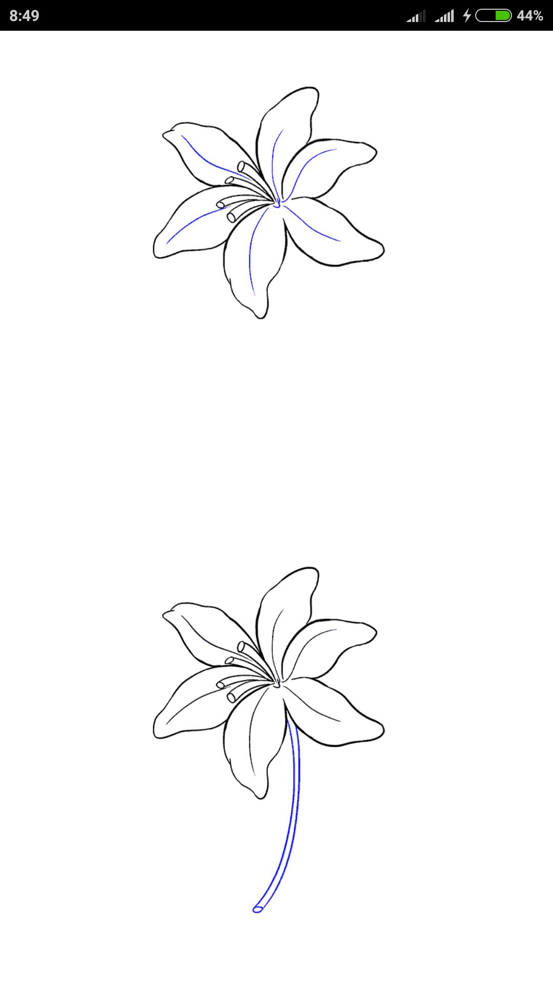 Detail Cara Melukis Bunga Teratai Dengan Mudah Nomer 45