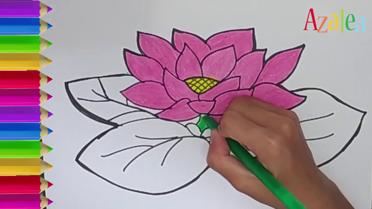 Detail Cara Melukis Bunga Teratai Dengan Mudah Nomer 10