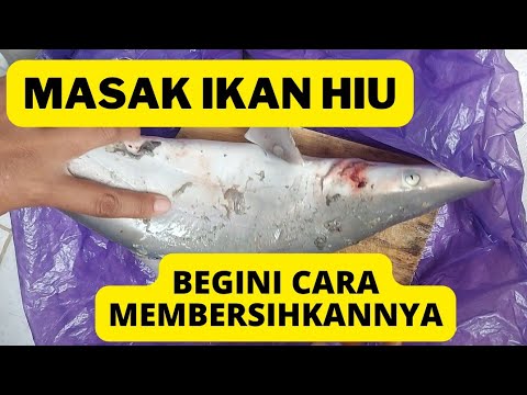 Detail Cara Memasak Ikan Hiu Nomer 40