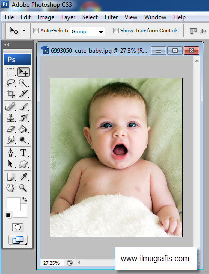 Detail Cara Memasukkan Foto Di Photoshop Cs3 Nomer 23