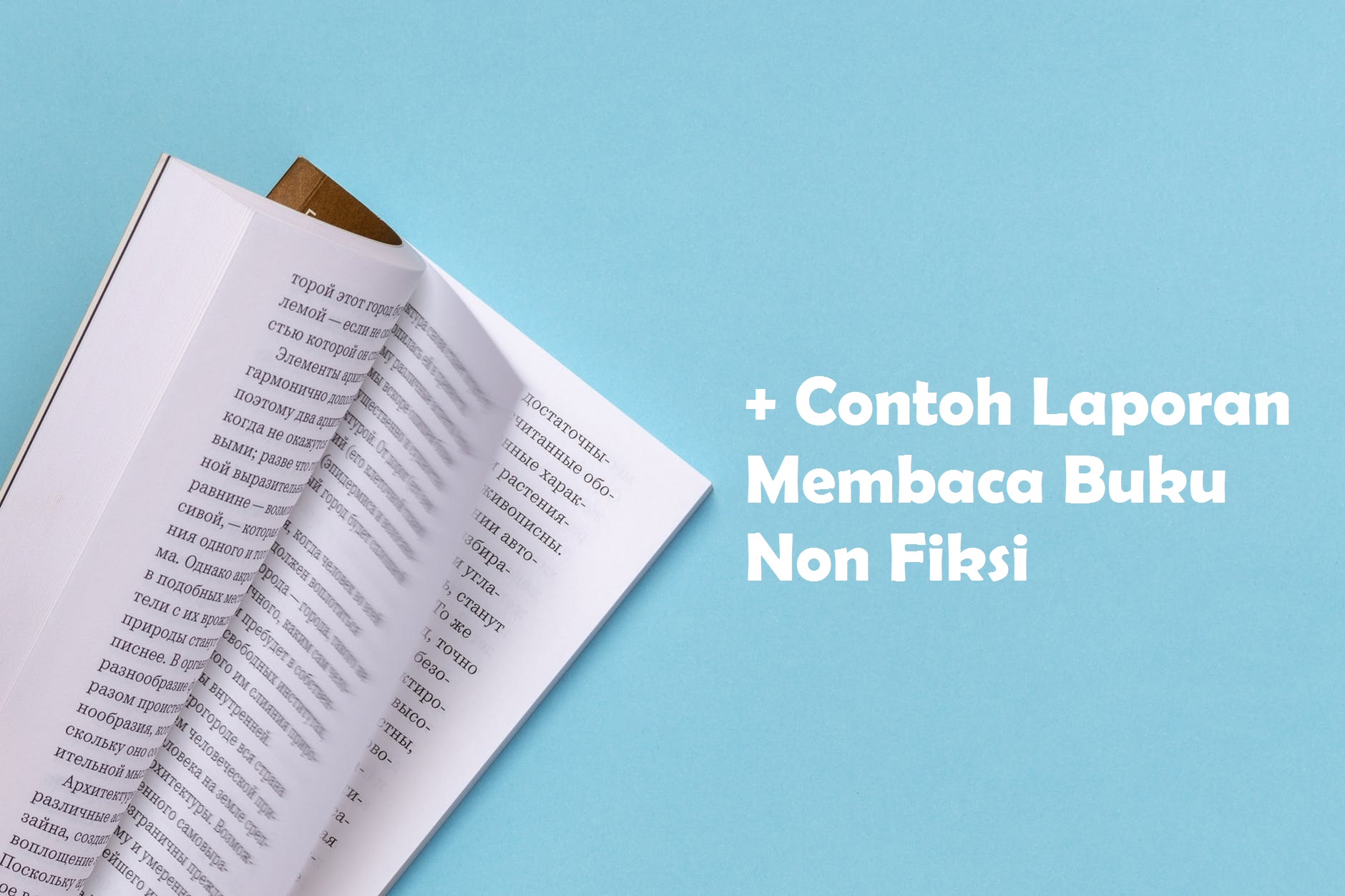 Detail Cara Membaca Buku Yang Benar Nomer 26