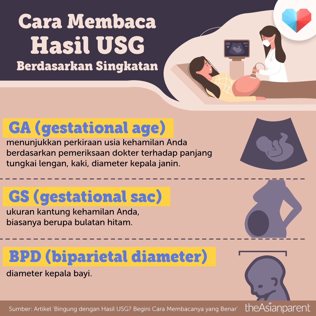 Detail Cara Membaca Foto Usg Nomer 13