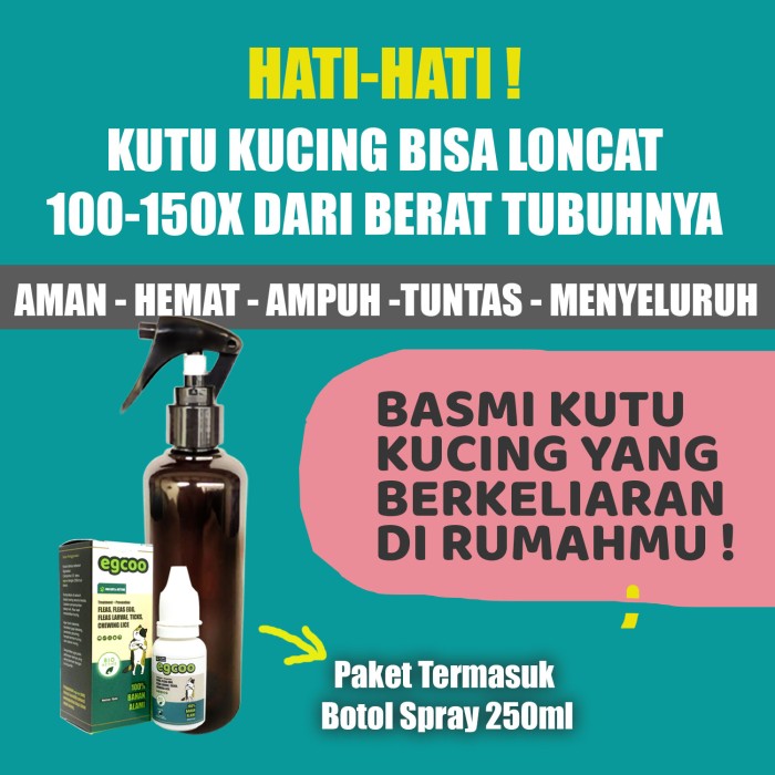 Detail Cara Membasmi Kutu Loncat Di Rumah Nomer 34