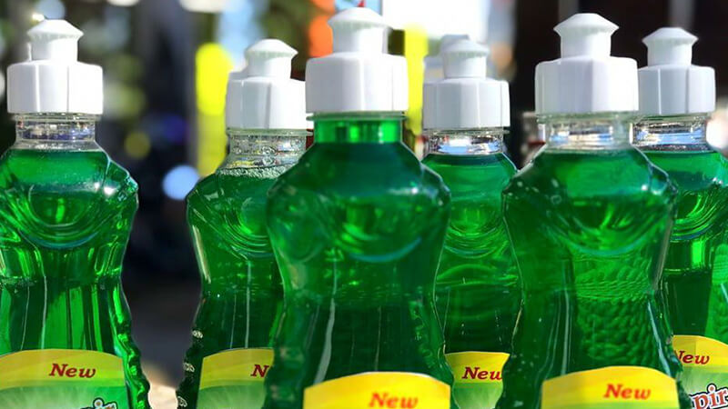 Detail Cara Membasmi Kutu Loncat Di Rumah Nomer 42