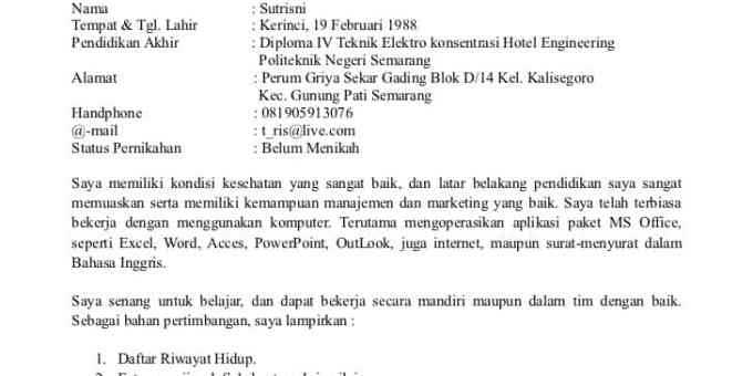 Detail Cara Membikin Surat Lamaran Kerja Nomer 46