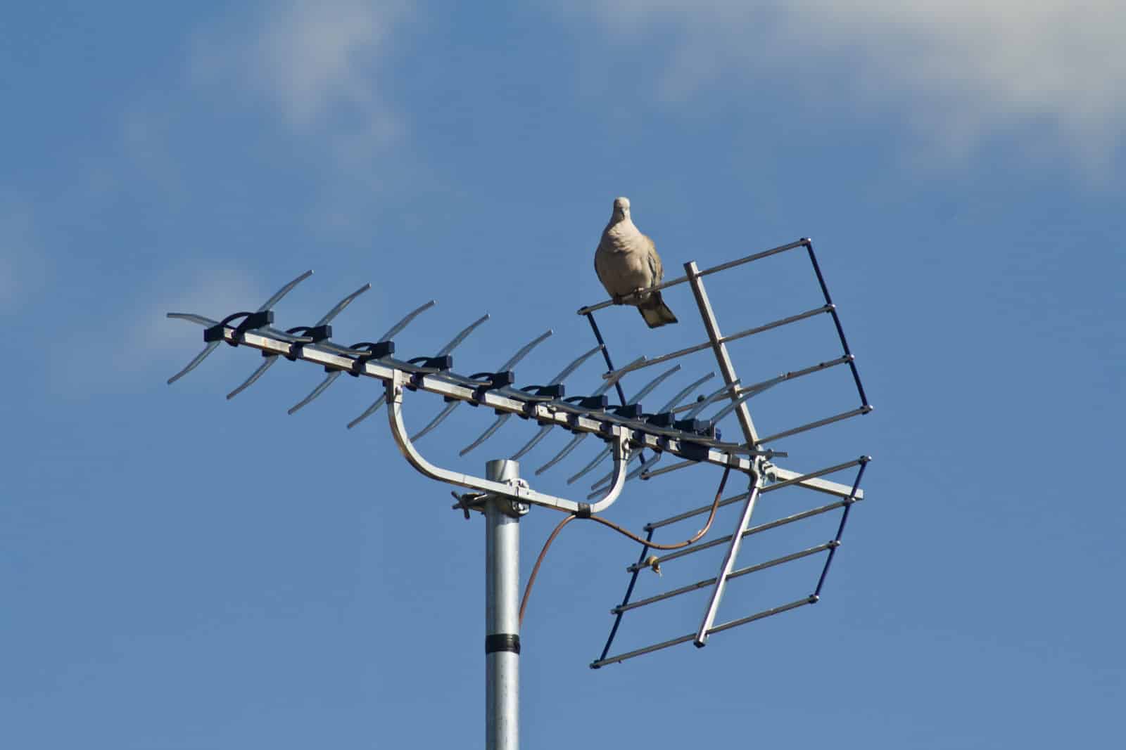 Detail Cara Membuat Antena Tv Dalam Rumah Nomer 40