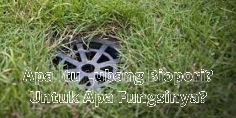 Detail Cara Membuat Biopori Murah Di Halaman Rumah Nomer 37