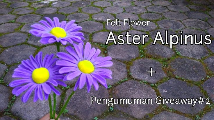 Detail Cara Membuat Bunga Aster Dari Nomer 9