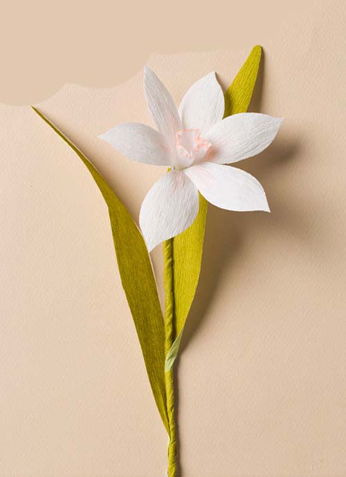 Detail Cara Membuat Bunga Lily Dari Sedotan Beserta Gambarnya Nomer 25
