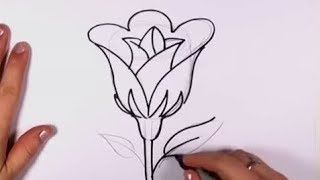 Detail Cara Membuat Bunga Mawar Di Buku Gambar Nomer 3