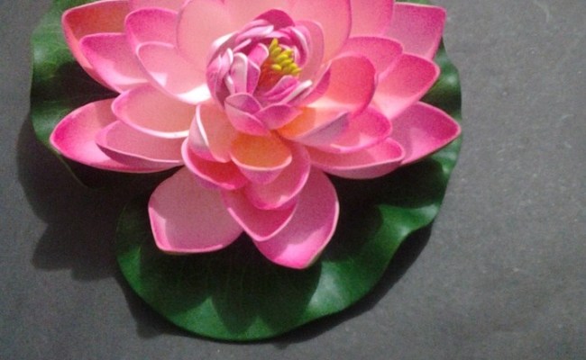 Detail Cara Membuat Bunga Sakura Dari Kain Flanel Beserta Gambarnya Nomer 45