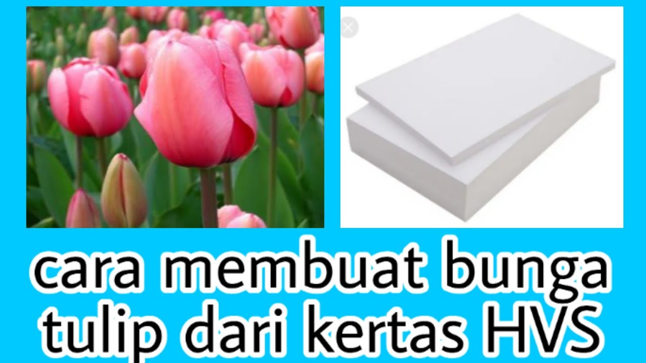 Cara Membuat Bunga Tulip Dengan Kertas Hvs - KibrisPDR