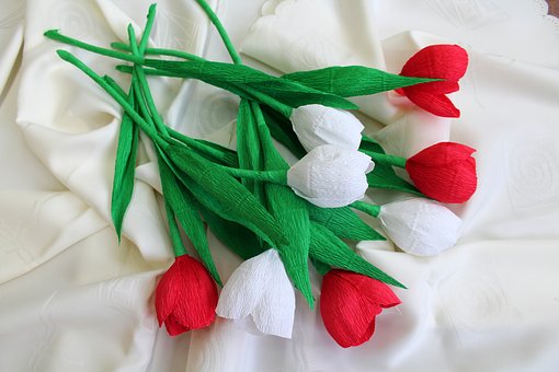 Detail Cara Membuat Bunga Tulip Dengan Kertas Krep Nomer 15
