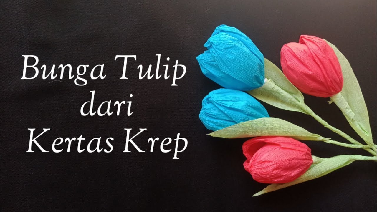 Detail Cara Membuat Bunga Tulip Dengan Kertas Krep Nomer 4