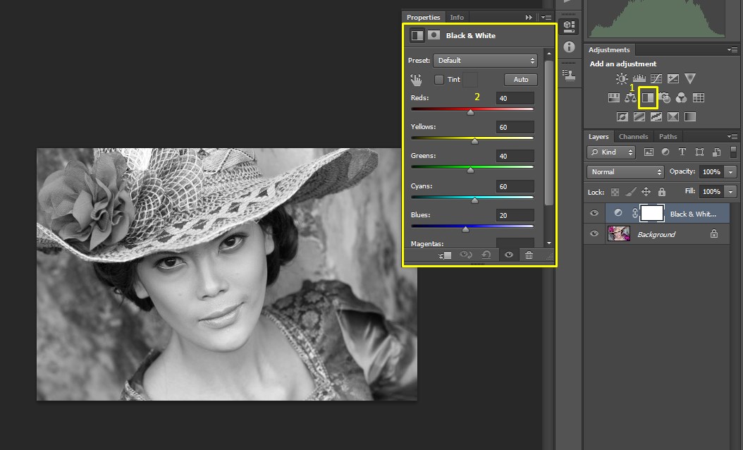 Detail Cara Membuat Foto Hitam Putih Di Photoshop Nomer 20