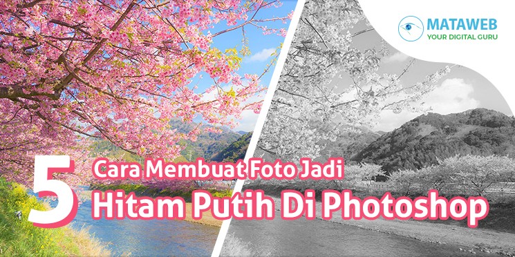 Detail Cara Membuat Foto Jadi Hitam Putih Dengan Photoshop Nomer 38