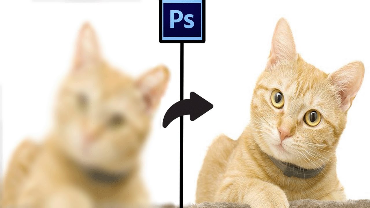 Detail Cara Membuat Foto Menjadi Hd Di Photoshop Nomer 27