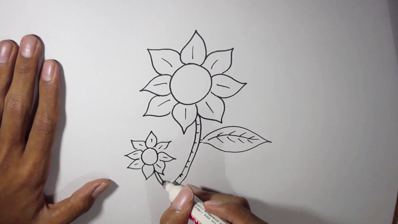 Cara Membuat Gambar Bunga - KibrisPDR