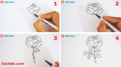 Detail Cara Membuat Gambar Bunga Mawar Dengan Mudah Nomer 16