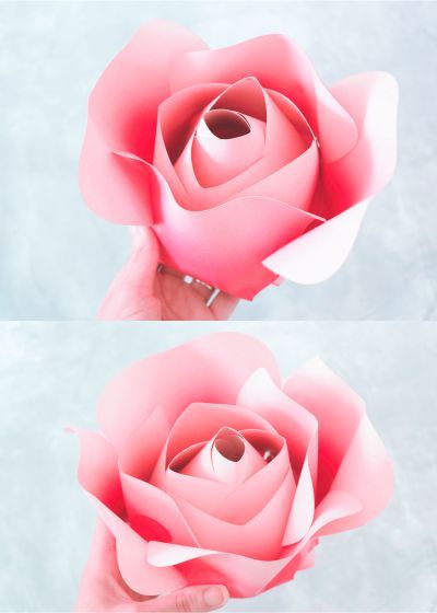 Detail Cara Membuat Gambar Bunga Mawar Dengan Mudah Nomer 34