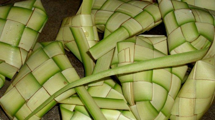 Detail Cara Membuat Gambar Ketupat Nomer 27