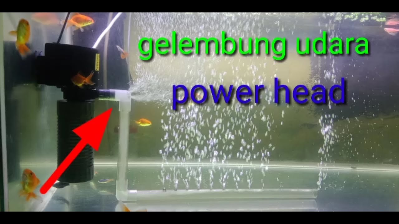 Detail Cara Membuat Gelembung Air Nomer 15