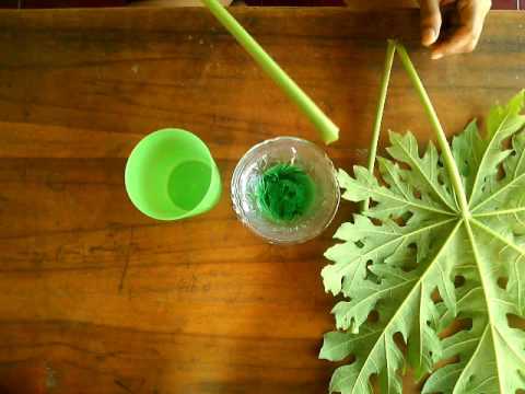 Detail Cara Membuat Gelembung Dari Sabun Nomer 26