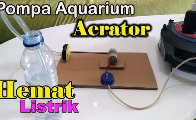 Detail Cara Membuat Gelembung Udara Aquarium Sederhana Nomer 43