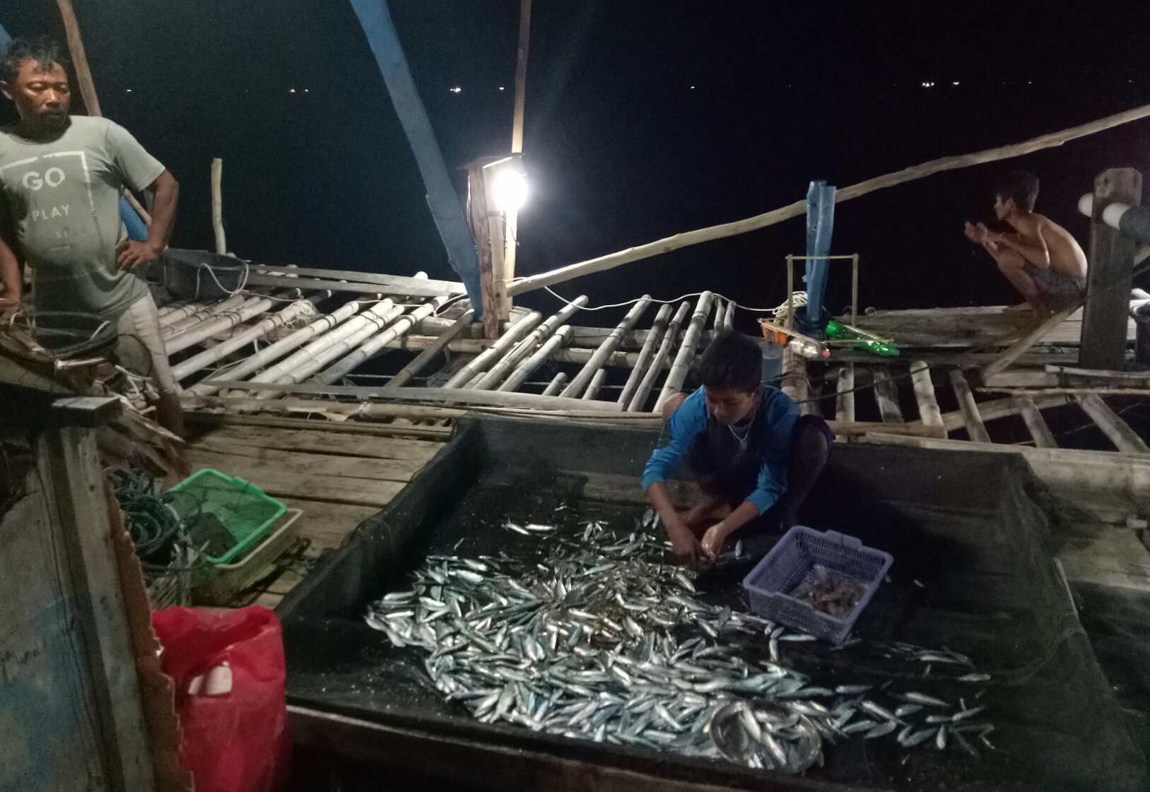 Detail Cara Membuat Jaring Ikan Laut Nomer 29