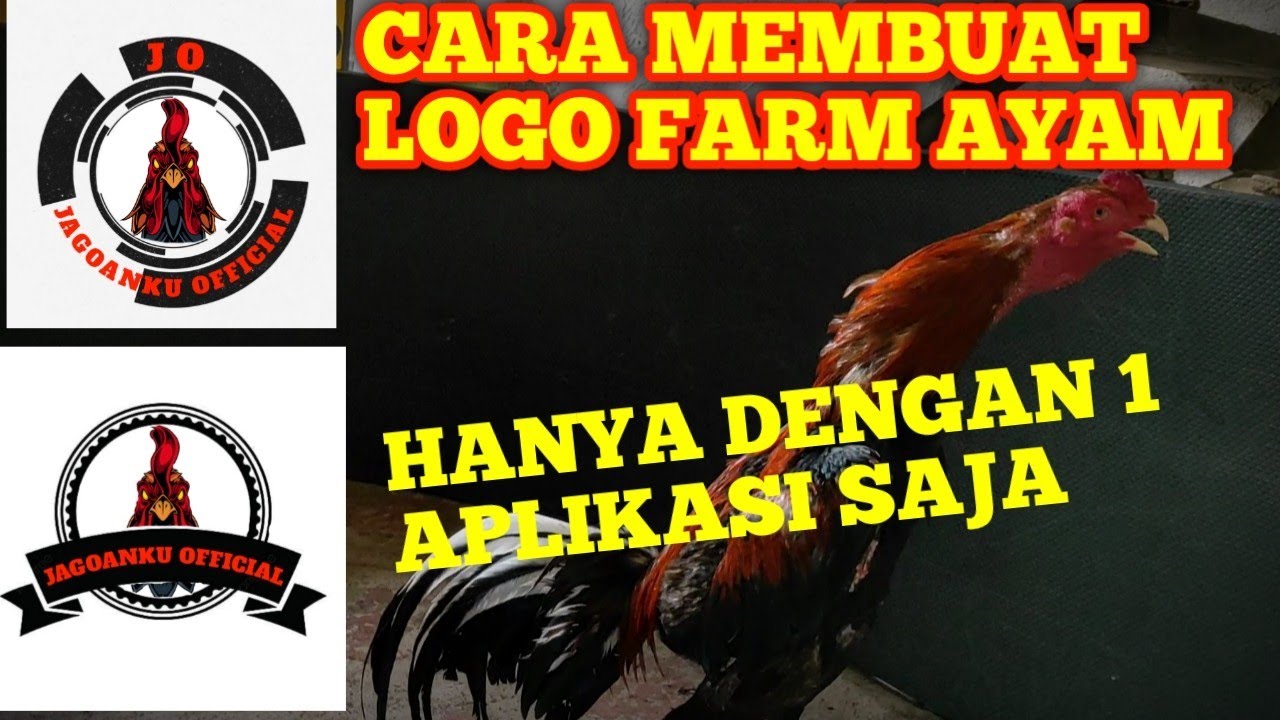 Detail Cara Membuat Logo Ayam Petarung Nomer 4