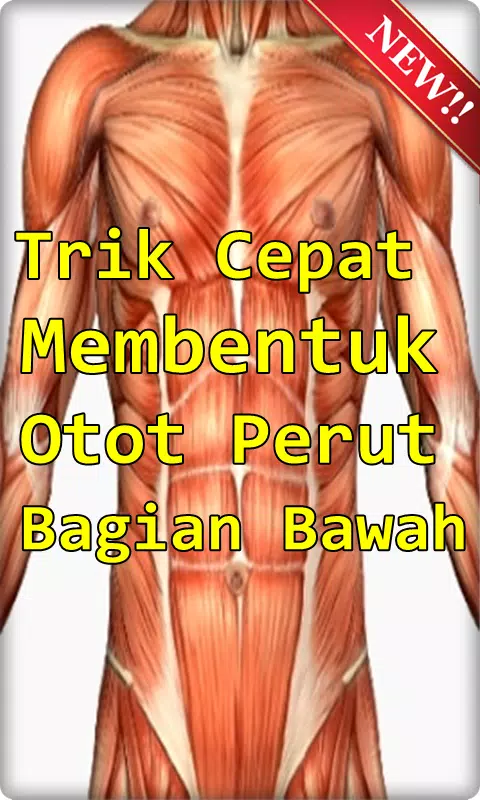 Detail Cara Membuat Perut Sixpack Di Rumah Nomer 48