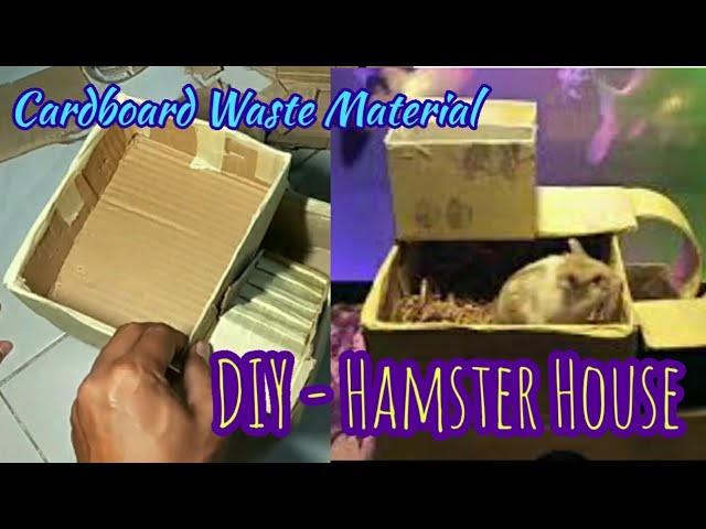 Detail Cara Membuat Rumah Hamster Dari Kardus Nomer 2