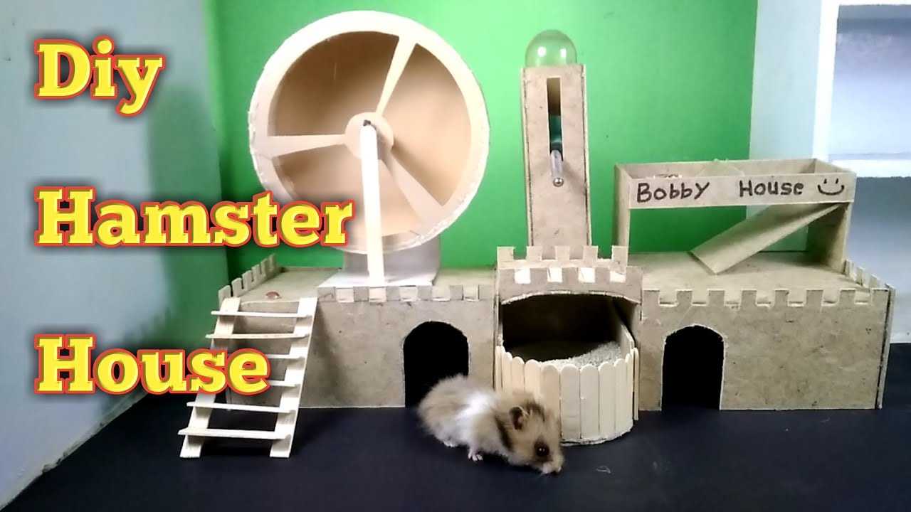 Detail Cara Membuat Rumah Hamster Dari Kardus Nomer 13